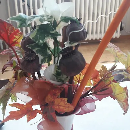 Untertor By Maier - Self-check-in Szálloda 3*