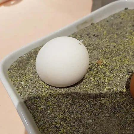 Untertor By Maier - Self-check-in 3*