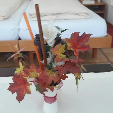 מלון Untertor By Maier - Self-check-in אלטשטאטן