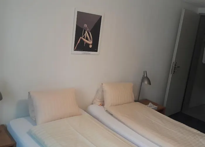 ホテル Untertor By Maier - Self-check-in アルトシュテッテン