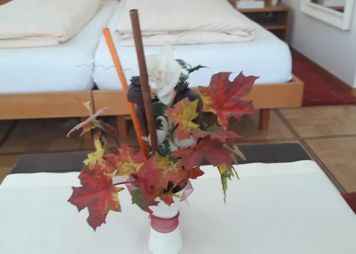 ホテル Untertor By Maier - Self-check-in アルトシュテッテン